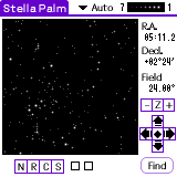 Stella Palm